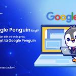 Google Penguin là gì? Cách nhận biết và khắc phục án phạt từ thuật toán Penguin