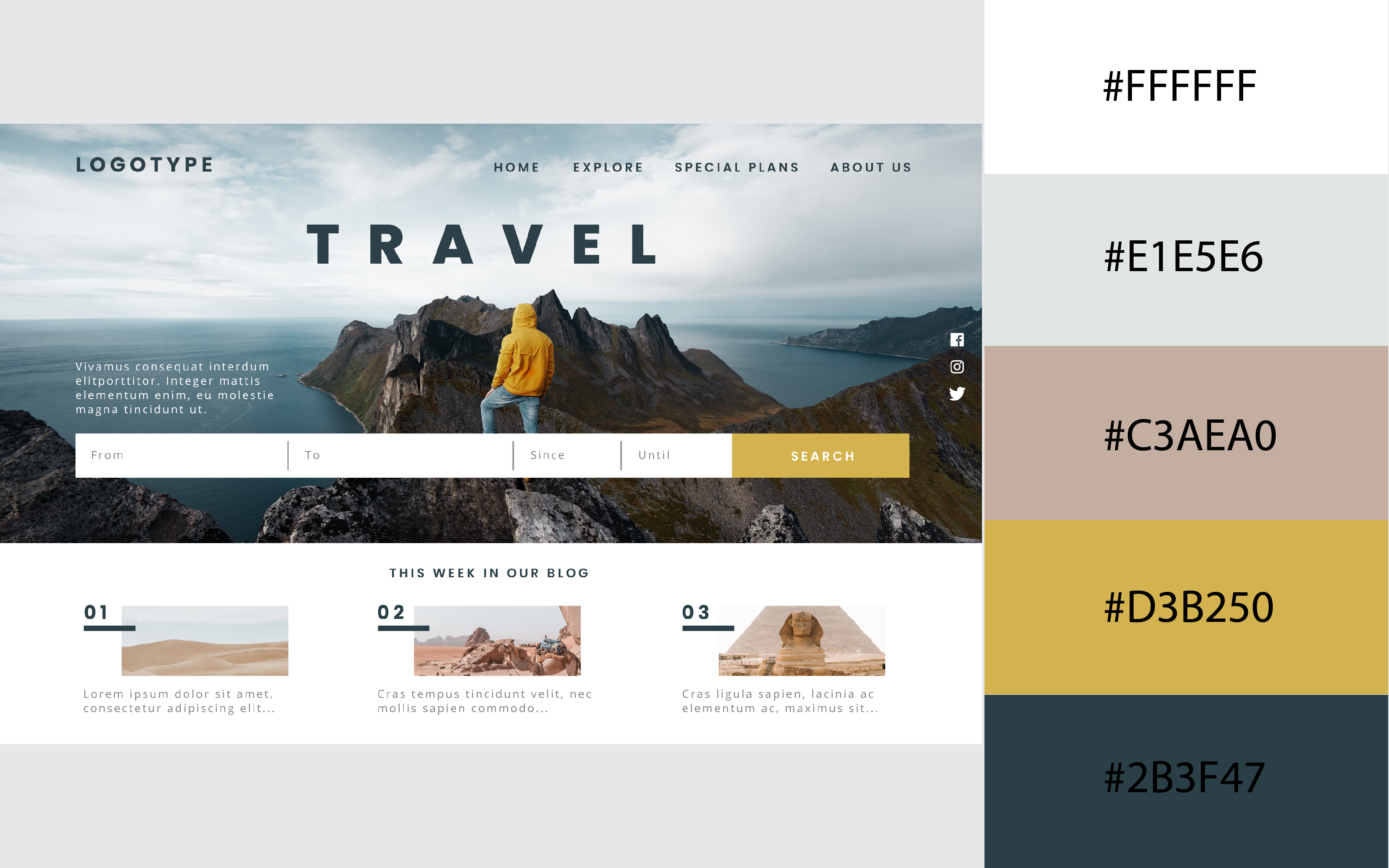 Tông màu đậm nét và sống động