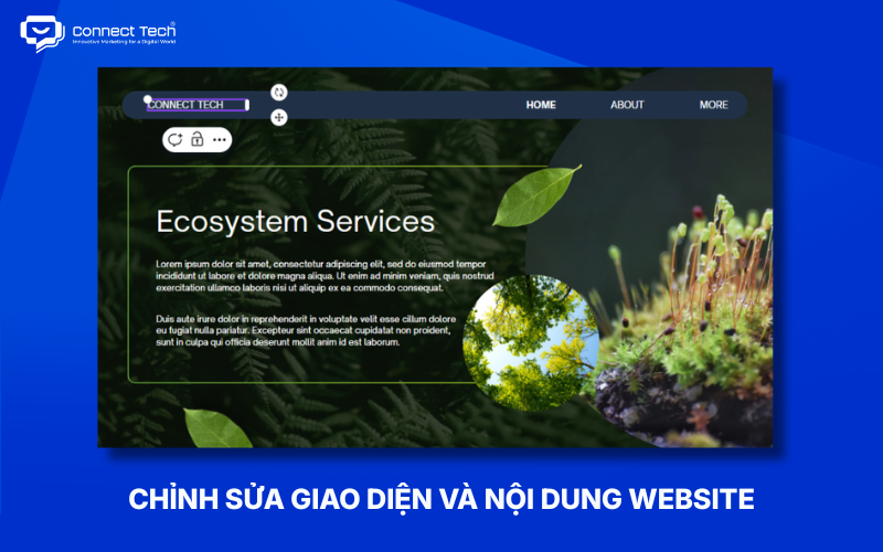 Chỉnh sửa giao diện và nội dung website