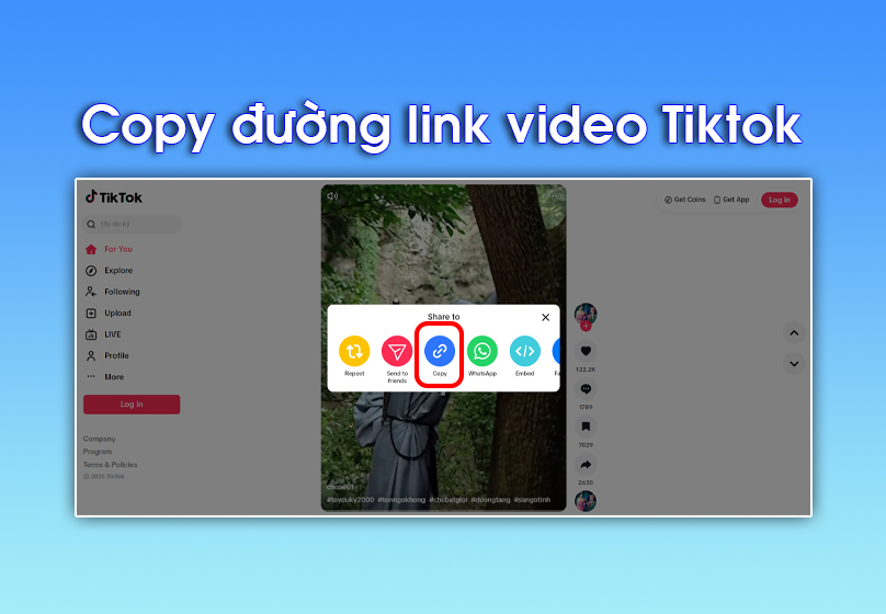 Copy đường link video TikTok