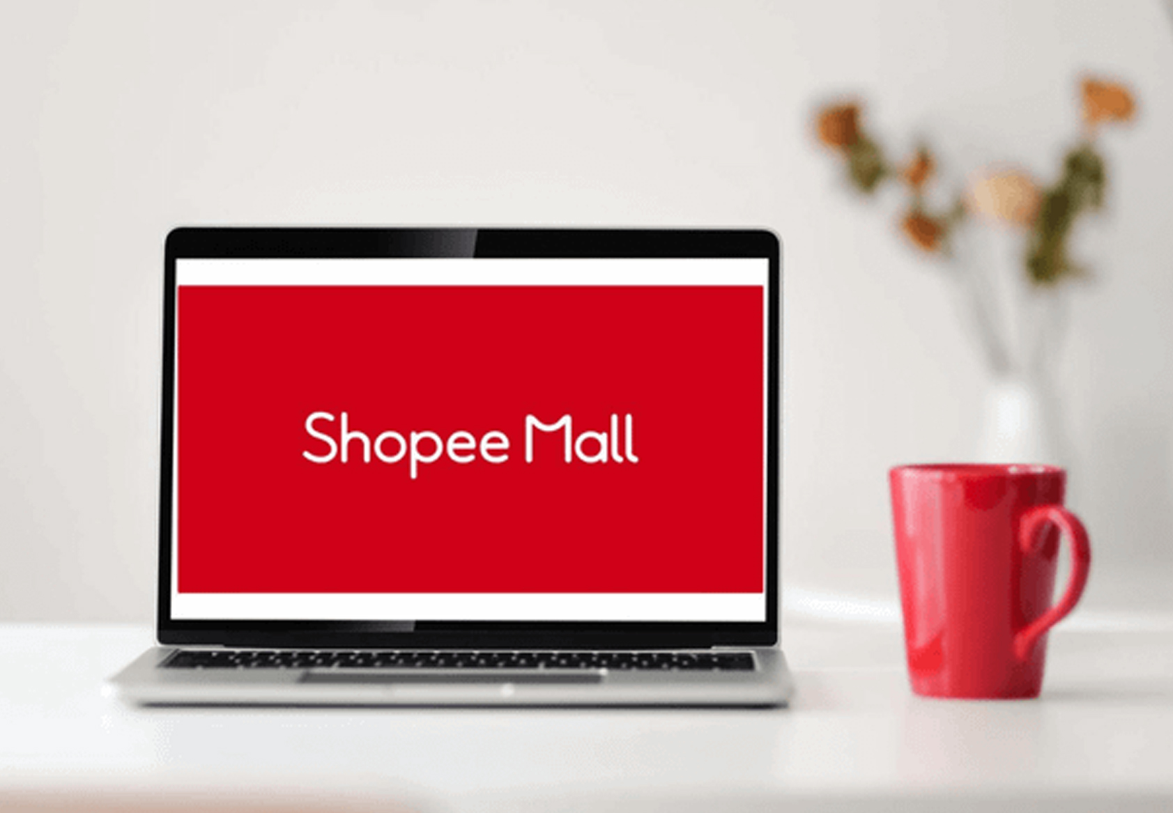 Dịch vụ lên Shopee Mall là gì?