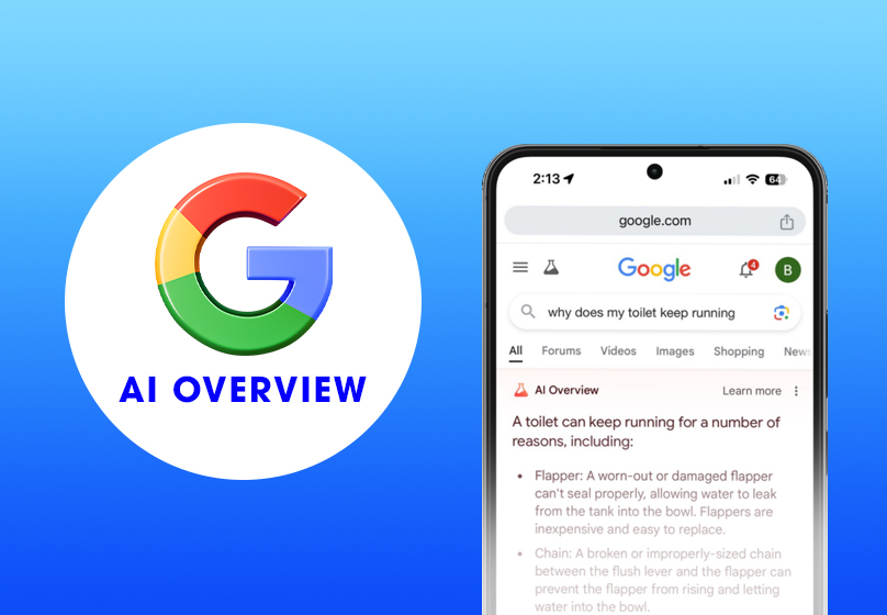 Google Overview là gì