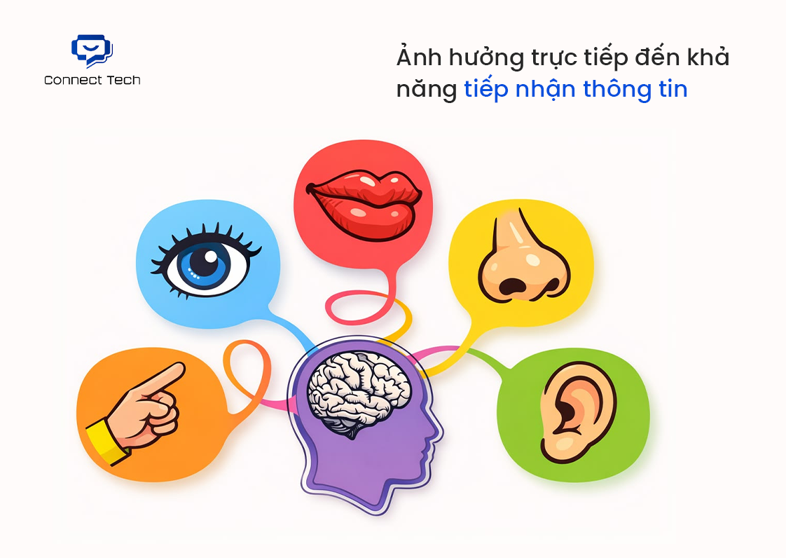 màu sắc website ảnh hưởng trực tiếp đến khả năng tiếp nhận thông tin