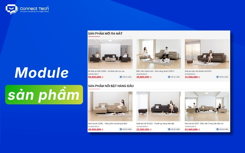 module sản phẩm