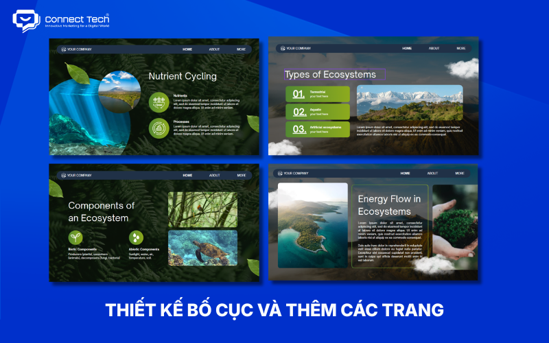 Thiết kế bố cục và thêm các trang