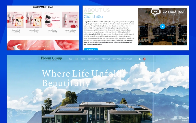 Custom Website Design Solutions for Specific Needs