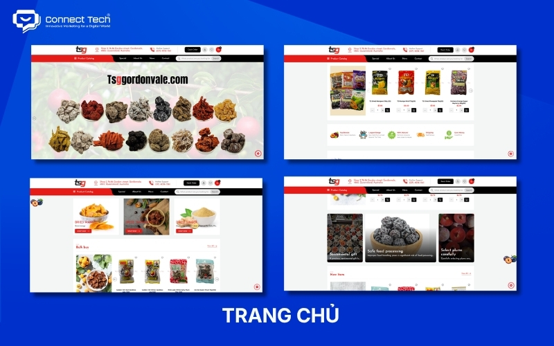 Homepage